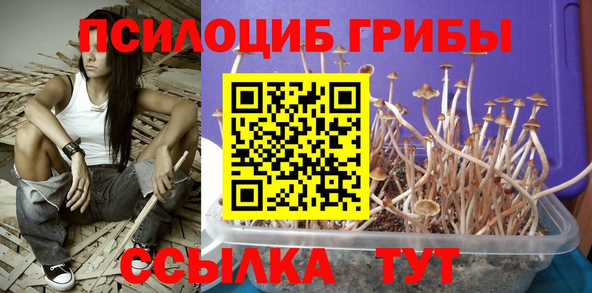 Мефедрон кристаллы  COCAIN  Ступино  ГАШ  Бошки Шишки  Вход с VPN  А ПВП СОЛЬ кристаллы  МДМА 