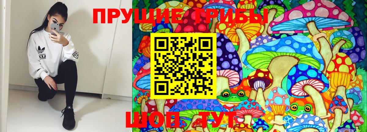 Галлюциногенные грибы Cubensis  Вход с VPN  Ступино 