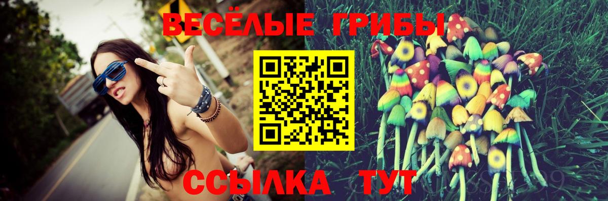 Галлюциногенные грибы MAGIC MUSHROOMS Ступино